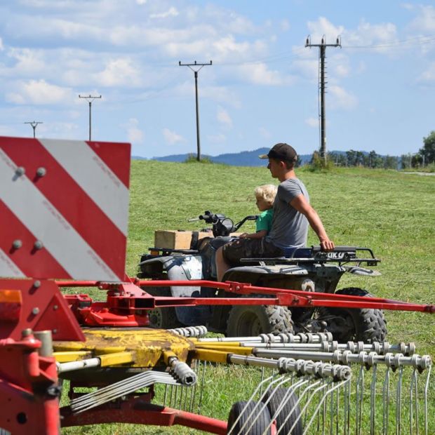Beim Arbeiten am Gutshof