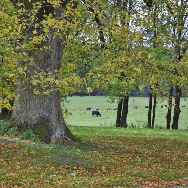 Eigene Landwirtschaft im südlichen Böhmerwald 